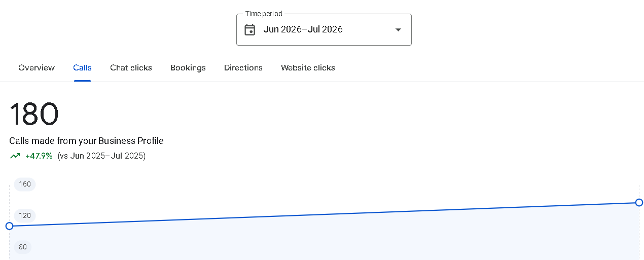 Google Business Profile Results
